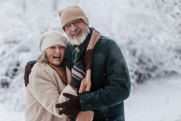 Elegant senior couple walking in the snowy park, during cold winter snowy day. Spending winter...
