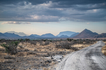 Samburu Nationalpark / Kenya