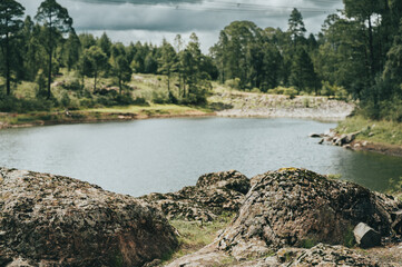 Lake inside the forest, surrounded by green and ocher colors.