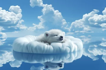 Ingelijste posters Polar bear puppy sleeping on a cloud © Goran