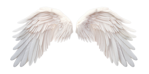 White angel wings isolated on transparent background PNG