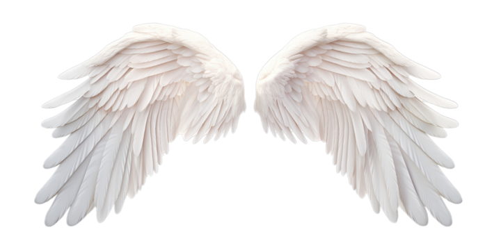 White angel wings isolated on transparent background PNG - Powered by Adobe