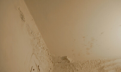 Old, shabby wall with peeling paint. 