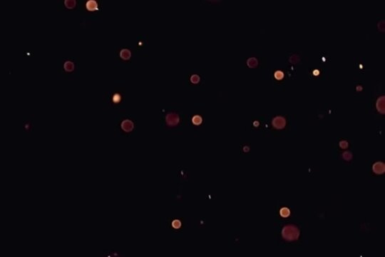 shiny  sparkling glitter on black background copy space