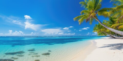 palm tree on a tropical island with white sandy beach and sea. Photo for travel advertising.