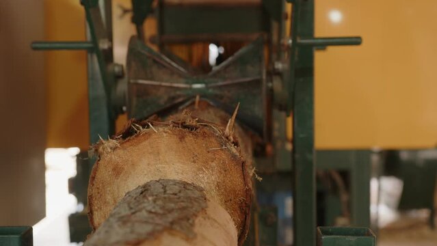 Industrial sawmill machinery processing logs into wooden boards. A toothed feeding mechanism moves a log through the cutting machine, producing lumber during timber processing.