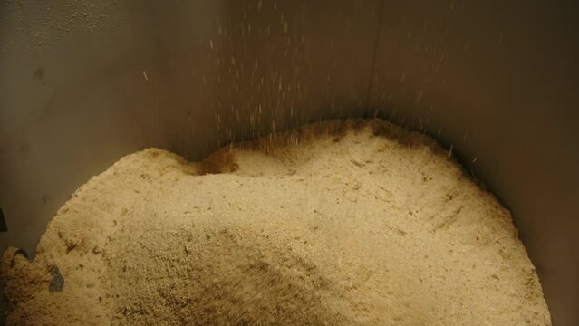 Wood sawdust falling into an industrial collection container during timber processing. Close-up of wood waste generated by a woodworking machine.