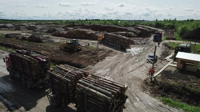 Aerial drone view of a timber yard and wood processing facility with trucks transporting logs and stacks of harvested timber. Industrial forestry operations in a rural area.