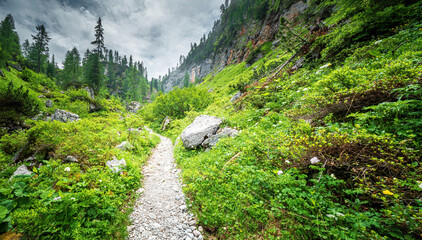 Lonely Hike through the Berchtesgaden green nature 