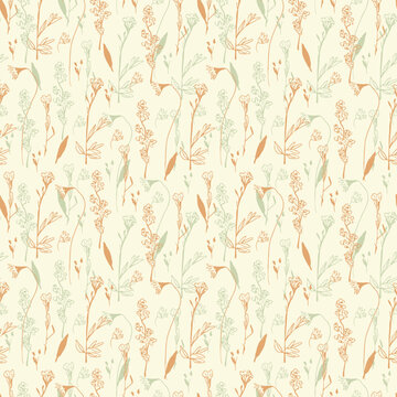 Vector seamless pattern with wild flowers, herbs and grasses.Thin delicate lines silhouettes of different plants © Anastasia