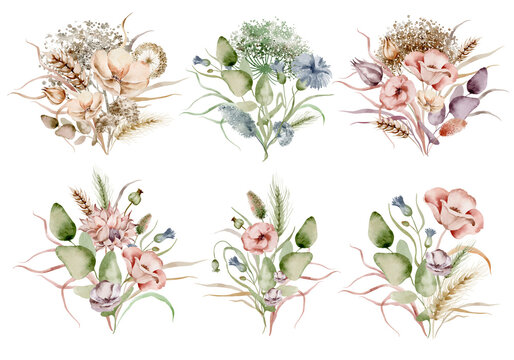 Wildflowers watercolor bouquet. Illustration set of floral bouquet of dried flowers on a white background drawn by hand.