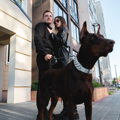 Dog walking