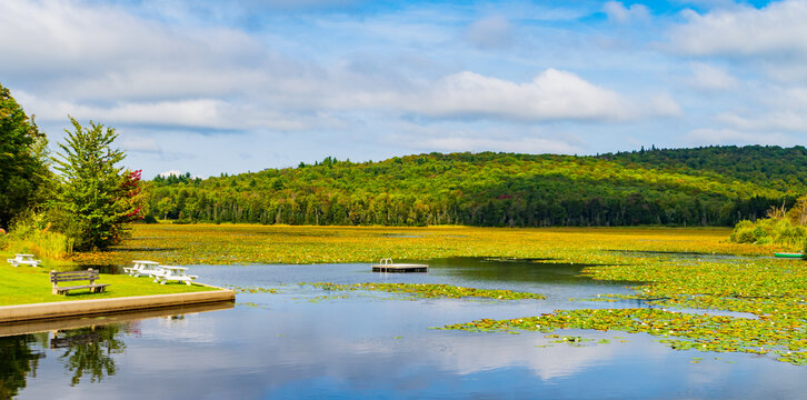 swim raft on Star Lake covered with Lily Pads in Belmont, Vermont
 - Powered by Adobe