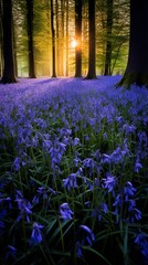 Obraz premium A vibrant patch of bluebells, their blossoms appearing as a blue mist on the forest floor.