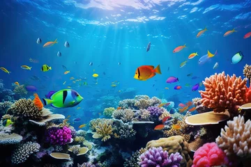 Rolgordijnen tropical coral reef © BetterPhoto