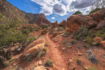 hiking the tanner trail in grand canyon national park, arizona, usa