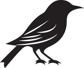 Toucan Dynasty Mark Owl of Wisdom Crest