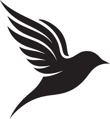 Hawk in Spotlight Wisdom of the Owl