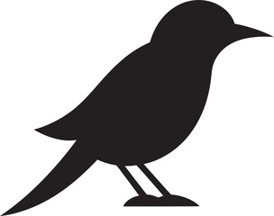 Pelican Majesty Icon Serene Parrot Emblem