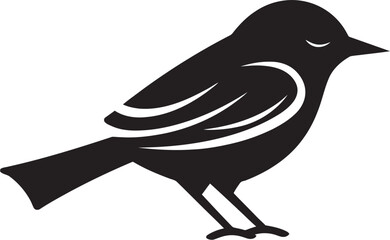 Owl in Shadow Crow's Majesty Vector