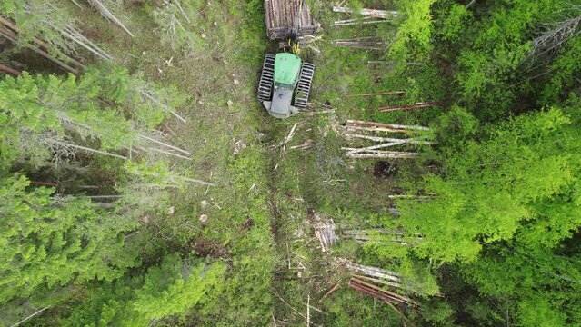 Aerial view of a skidder collecting harvested logs in a forest