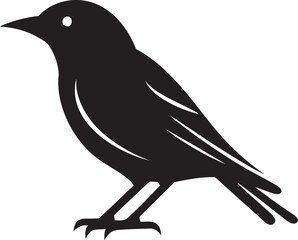 Wisdom of the Owl Swallow's Serenity