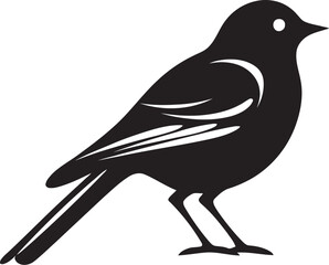 Raptor Regalia Wisdom of the Swan