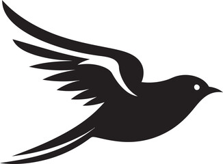 Hawk in the Spotlight Wisdom of the Owl