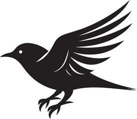 Pigeon in Silhouette Kestrel in Motion