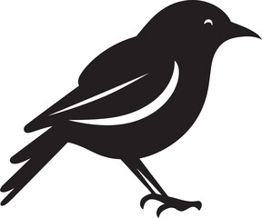 Peregrine Profile Osprey's Serenity