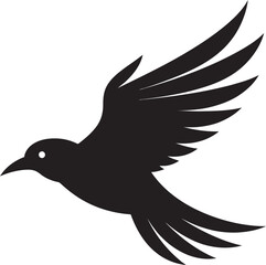 Raptor Regalia Wisdom of the Swan