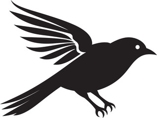 Regal Owl Monogram Night Owl in Spotlight