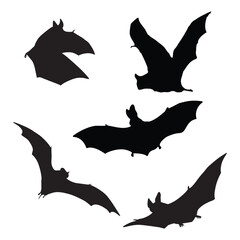 Bat Silhouette Vector illustration