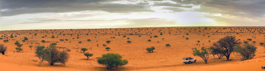 Kalahari Wüste in Namibia als Panorama