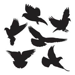 Pigeon Silhouette Vector Illustration
