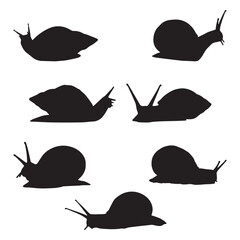 Set of Snails Vector Silhouette