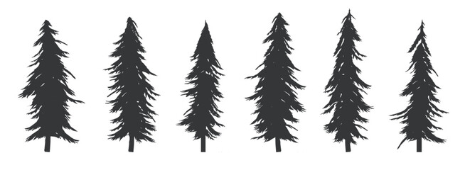Detailed vector trees - Collection of tree designs in the style of fir and pine. Flat design silhouette in black colour on white background - obrazy, fototapety, plakaty