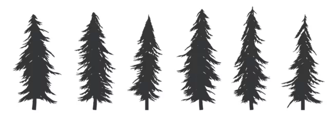 Fotobehang Detailed vector trees - Collection of tree designs in the style of fir and pine. Flat design silhouette in black colour on white background © Knut