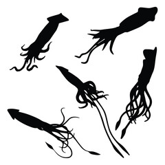 Squid Silhouette Vector Illustration