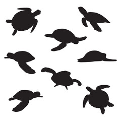 Sea Turtle Vector Silhouette