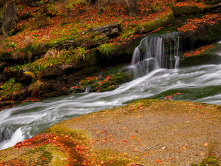Fototapeta na wymiar Mountain stream in autumn.