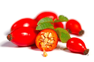 Hagebutten vor weißem Hintergrund