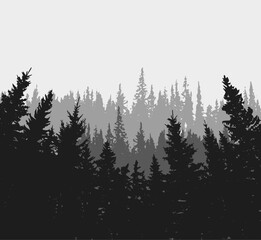 Obraz premium Spruce tree silhouette. Pine tree silhouette