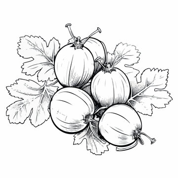 Gooseberries in cartoon, doodle style. 2d vector illustration in logo, icon style. AI Generative