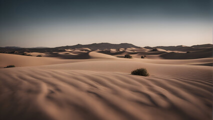Fototapeta na wymiar Sand dunes in the Sahara desert. Merzouga. Morocco
