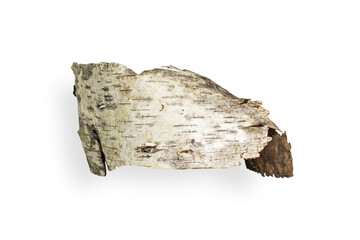 Birch bark is beautifully shaped. On an empty background. PNG