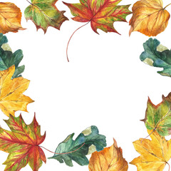 Isolated Autumn Leaves. Watercolor illustration