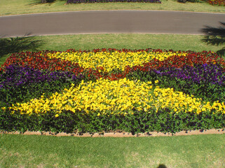 Obraz premium flower bed