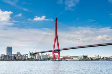 Foto op Plexiglas Nanpubrug Nanpu Bridge over the Huangpu River in Shanghai, China