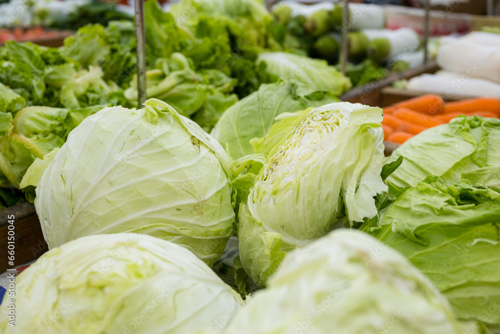 Wall mural group of green cabbages in a supermarket